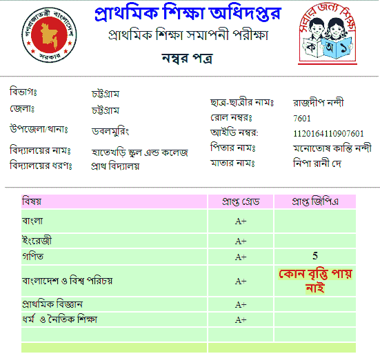 PSC Result 2025 with full Marksheet dpe.gov.bd
