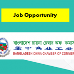 BCCCI Job 2019