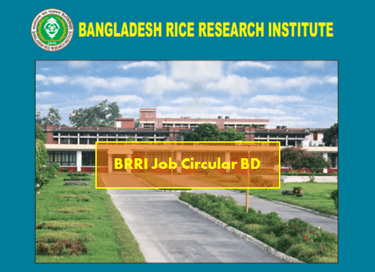 BRRI Job Circular