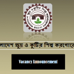 BSCIC Job Circular