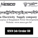 Northern Electricity Supply Co Ltd Job Circular 2020