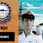 Dockyard and Engineering Works Limited