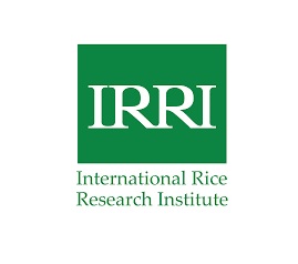 International Rice Research Institute (IRRI)